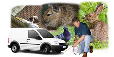 High Wycombe local van